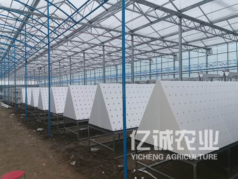 薯類作物的溫室大棚怎么建設？造價高不高？